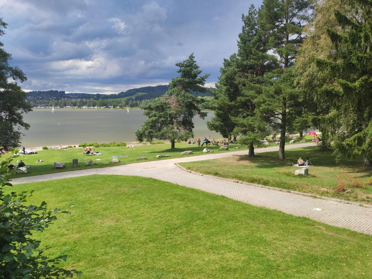 Lipno Riviera - Mysi V Bote Daire Lipno nad Vltavou Dış mekan fotoğraf