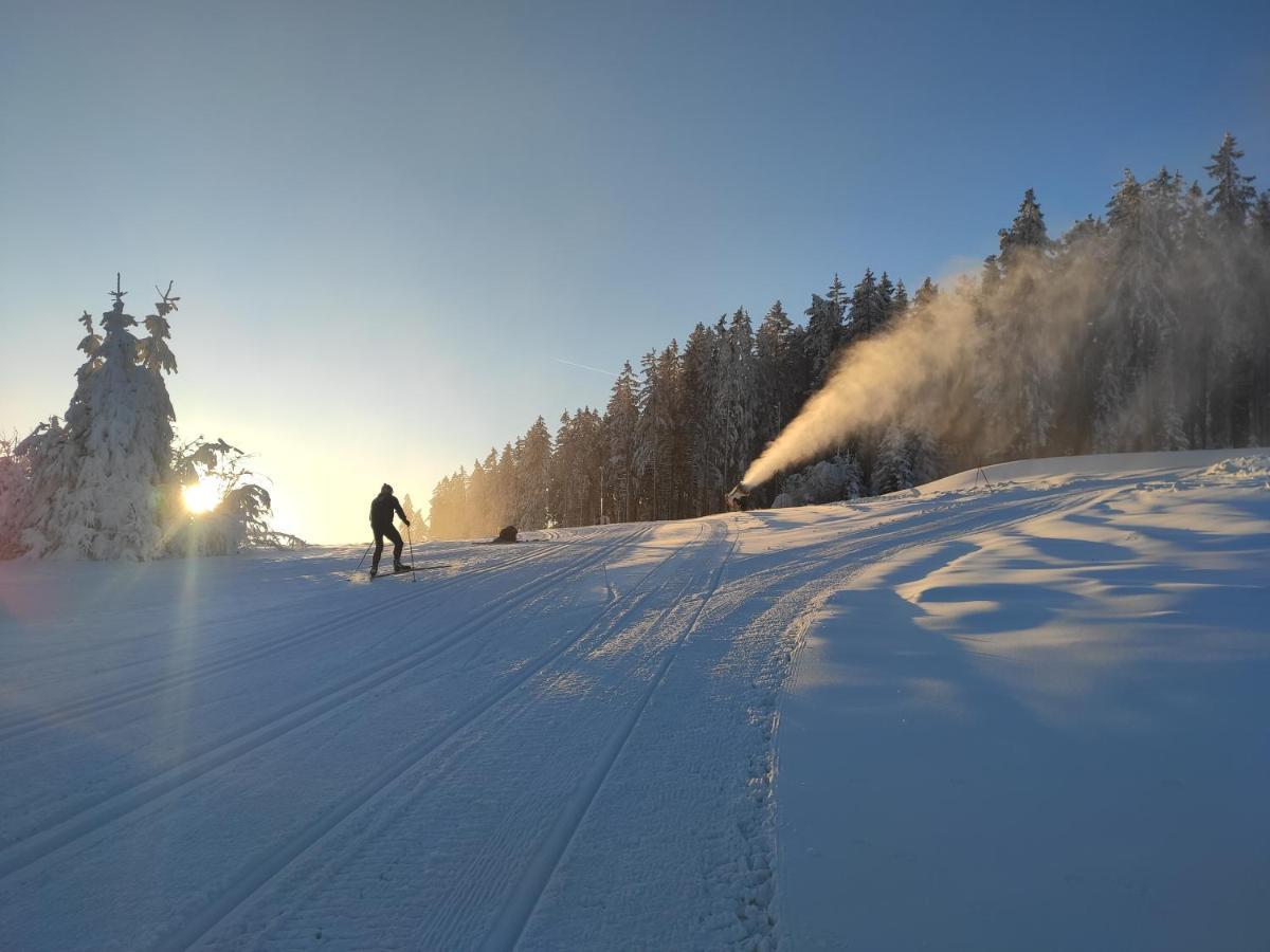 Lipno Riviera - Mysi V Bote Daire Lipno nad Vltavou Dış mekan fotoğraf